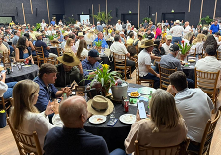 Primeiro leilão da Bahia Farm Show reúne mais de 1,5 mil animais
