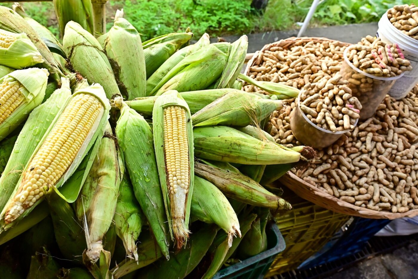 São João e Copa do Mundo impulsionam vendas em feiras e mercados de Salvador