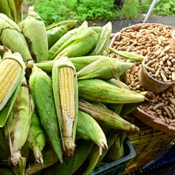 São João e Copa do Mundo impulsionam vendas em feiras e mercados de Salvador