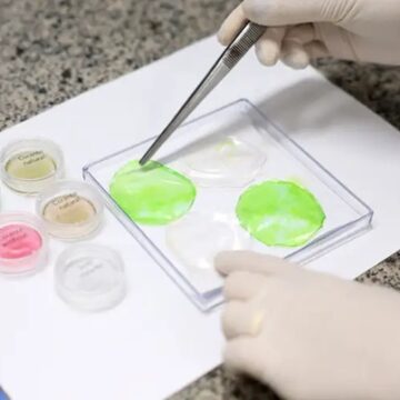 Carne de laboratório? Conheça a técnica desenvolvida pela Embrapa