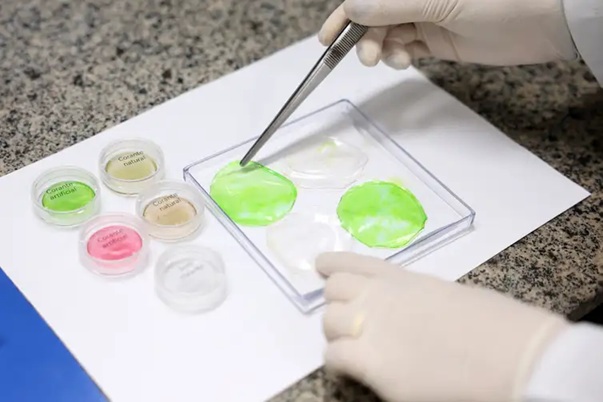 Carne de laboratório? Conheça a técnica desenvolvida pela Embrapa