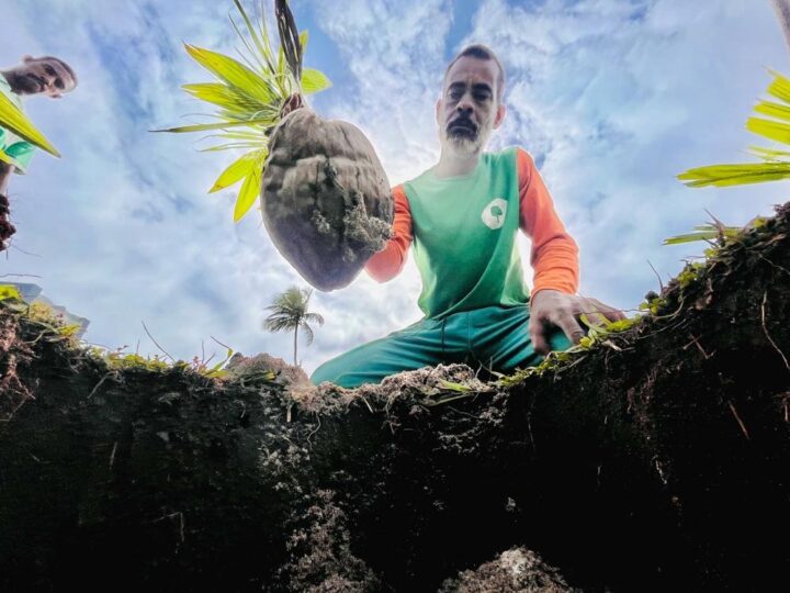 Orla de Salvador ganhará 100 novas árvores em Amaralina e Pituaçu