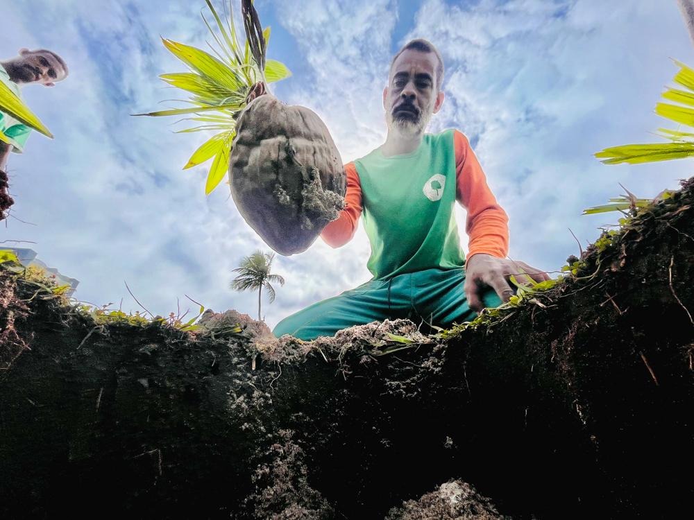Orla de Salvador ganhará 100 novas árvores em Amaralina e Pituaçu