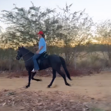 Ivete Sangalo compartilha passeio a cavalo em Juazeiro durante dias de descanso: ‘Refúgio’
