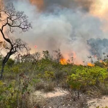 Bahia é o 3º estado com mais focos de calor do Brasil, aponta Ministério da Saúde