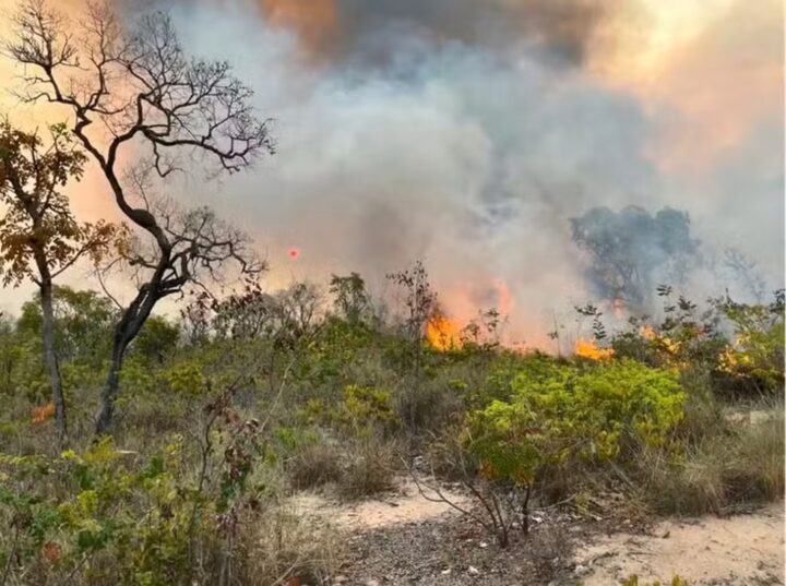 Bahia é o 3º estado com mais focos de calor do Brasil, aponta Ministério da Saúde