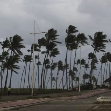 Salvador registra rajadas de vento de até 43 km/h nesta quinta (16), mesmo com trégua da chuva