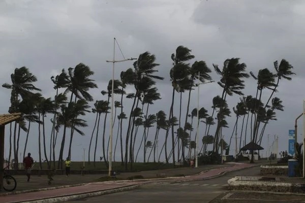 Salvador registra rajadas de vento de até 43 km/h nesta quinta (16), mesmo com trégua da chuva
