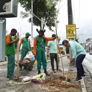 Prefeitura de Salvador planta 13 árvores na Avenida Jequitaia em combate ao vandalismo