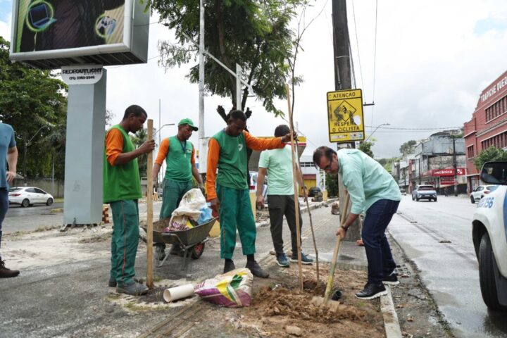 Prefeitura de Salvador planta 13 árvores na Avenida Jequitaia em combate ao vandalismo