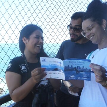 Saiba tudo sobre a temporada de baleias jubarte em Salvador: quando começa, onde ver e como participar