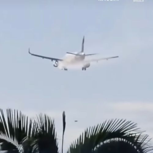 Voo que seguia para Salvador bate em ave e faz pouso de emergência em Brasília