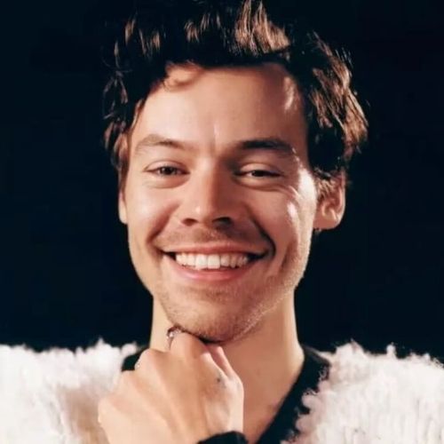 Por que Harry Styles cancelou o show em São Paulo? Entenda o que aconteceu