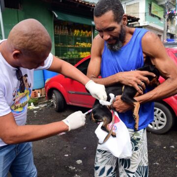 Salvador intensifica vacinação antirrábica de cães e gatos a partir de segunda-feira (20)