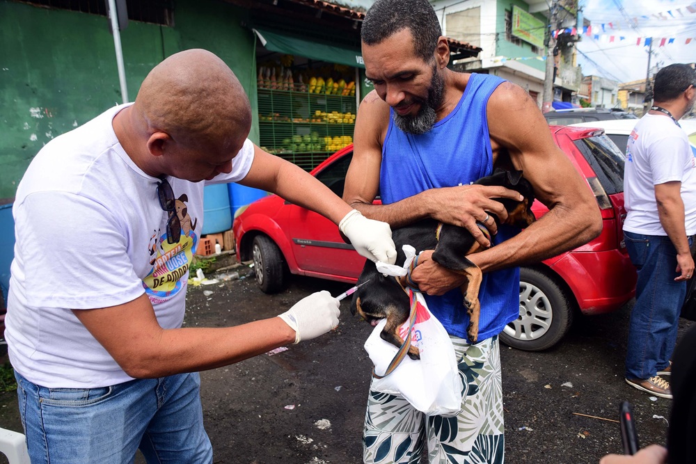 Salvador intensifica vacinação antirrábica de cães e gatos a partir de segunda-feira (20)
