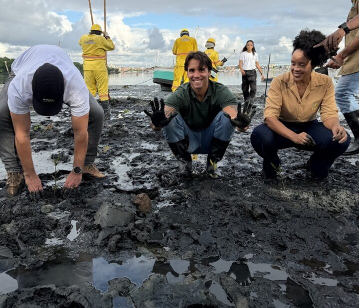 Daniel Cady e Mariene de Castro participam de plantio de 3 mil mudas de manguezal em Salvador