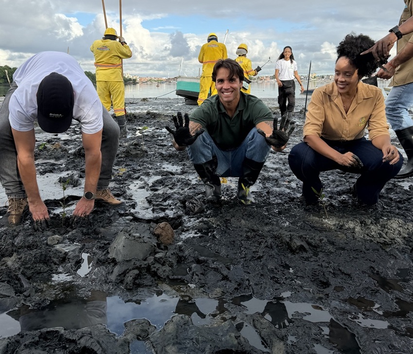 Daniel Cady e Mariene de Castro participam de plantio de 3 mil mudas de manguezal em Salvador