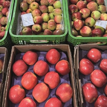 Bahia concentra três dos maiores entrepostos de hortifrúti do Nordeste; confira ranking