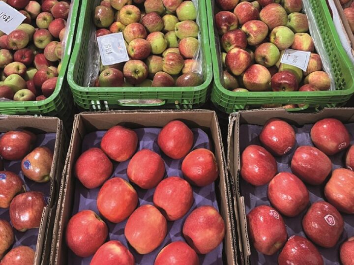 Bahia concentra três dos maiores entrepostos de hortifrúti do Nordeste; confira ranking