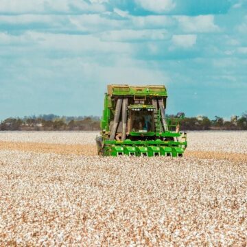 Estudo aponta Bahia, Ceará e Pernambuco como principais polos de investimentos no Nordeste