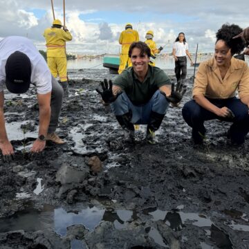 Daniel Cady e Mariene de Castro participam de plantio de 3 mil mudas de manguezal em Salvador
