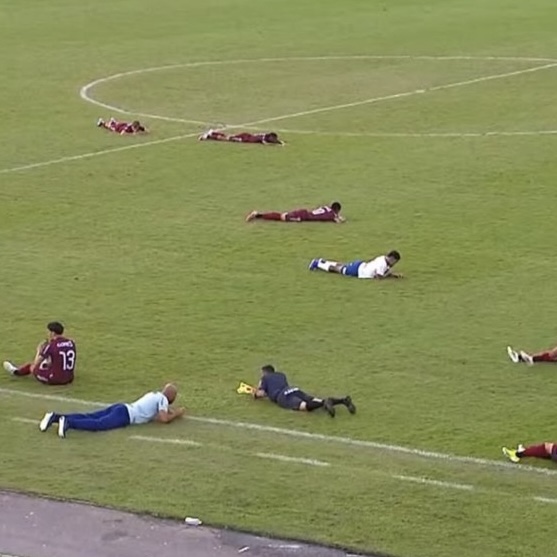 Partida de campeonato em Feira de Santana é suspensa após invasão de abelhas; veja