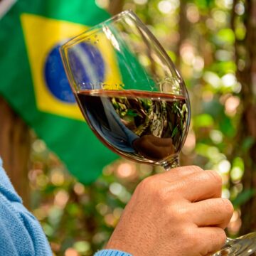 Brasil ganha Dia Nacional do Vinho em meio à produção recorde do setor; saiba quando será