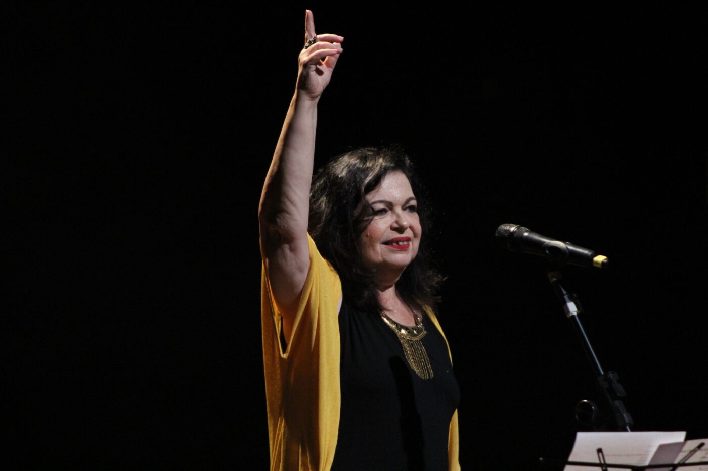 Estação Rubi anuncia programação com Mônica Salmaso, Amelinha e tributo a Gonzaguinha