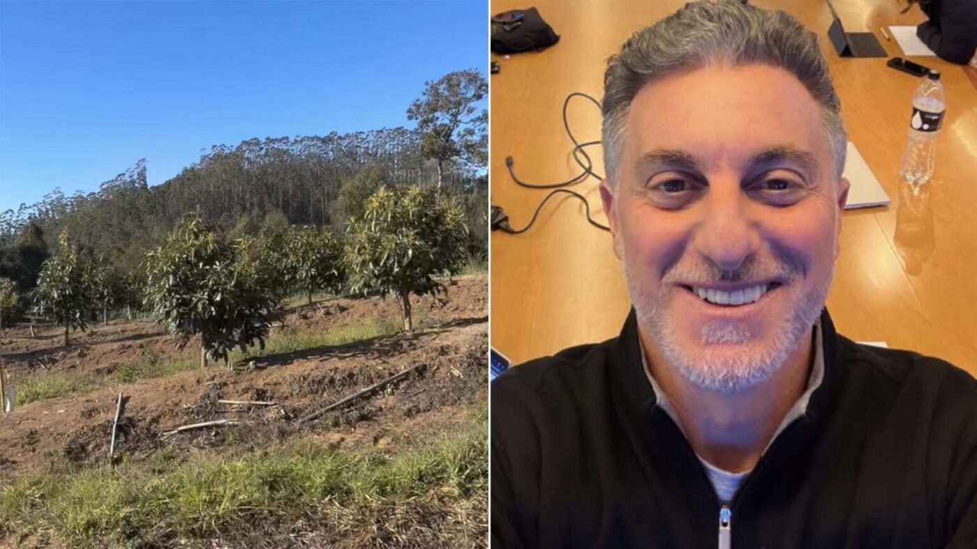 Aos 54 anos, Luciano Huck acompanha plantação de avocados em sua fazenda e mostra primeira safra