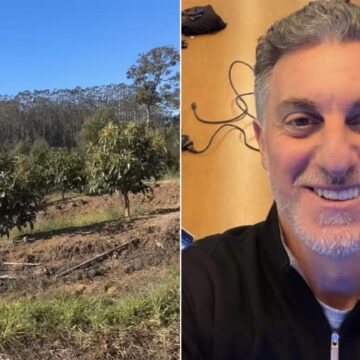 Aos 54 anos, Luciano Huck acompanha plantação de avocados em sua fazenda e mostra primeira safra