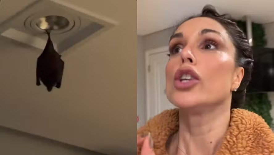 Flávia Viana descobre morcego vivendo na sua casa há 2 meses: ‘Ficava entre meu closet e o meu quarto’