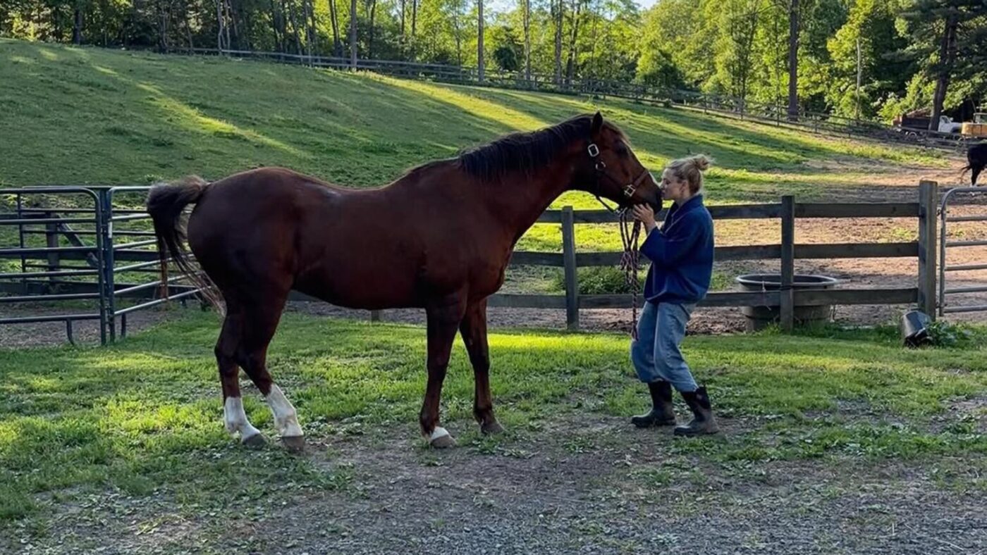 Aos 40 anos, atriz mostra sua fazenda com refúgio para animais de idade avançada em Nova York