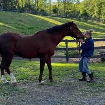 Aos 40 anos, atriz mostra sua fazenda com refúgio para animais de idade avançada em Nova York