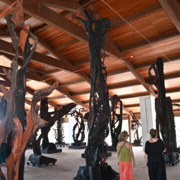 Museu do Recôncavo recebe exposição inédita com 46 obras de Frans Krajcberg