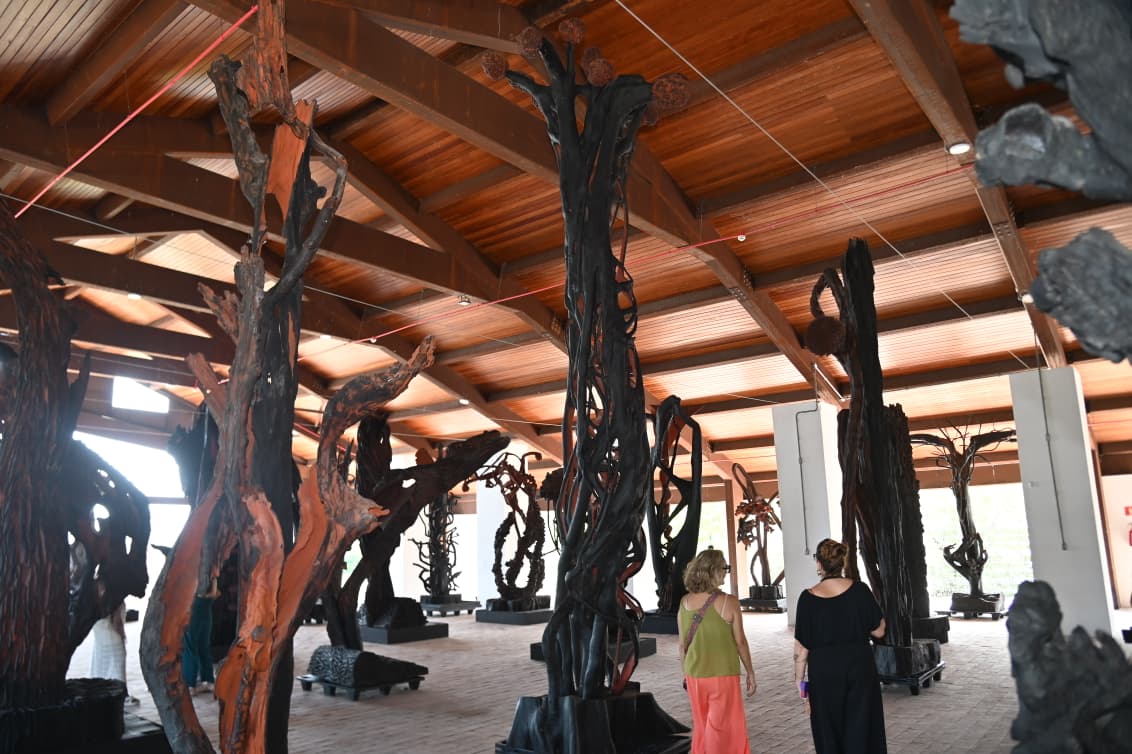 Museu do Recôncavo recebe exposição inédita com 46 obras de Frans Krajcberg