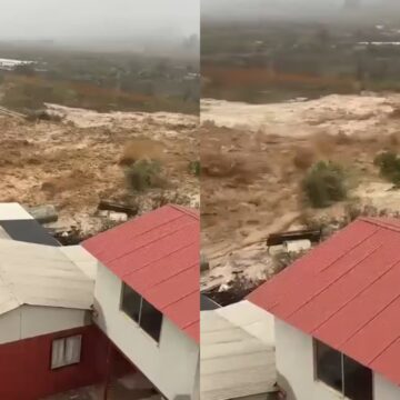 Chuva de quatro anos cai em quatro dias no deserto mais seco do mundo: ‘Episódio extremo’