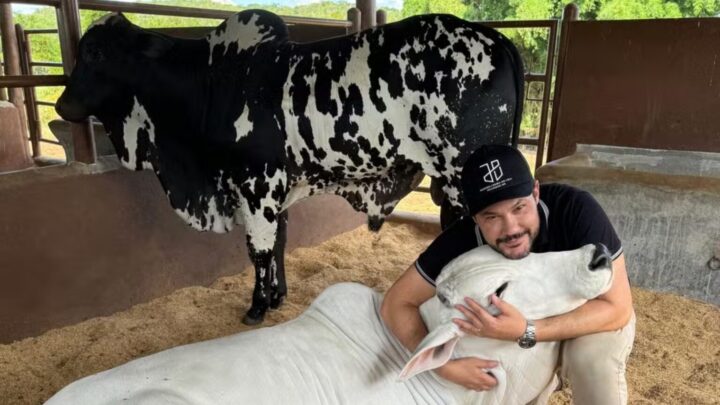 Aos 44 anos, cantor mostra refúgio luxuoso com investimento na pecuária em Mato Grosso do Sul