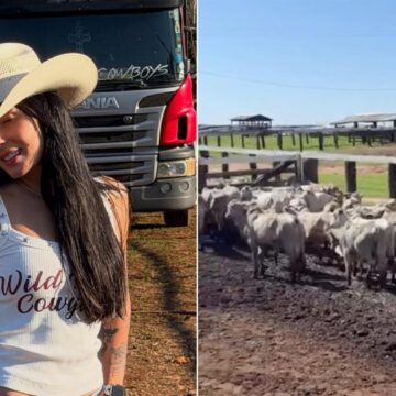 Aos 22 anos, Ana Castela investe em gado oriundo de outro país e escolhido pelo pai