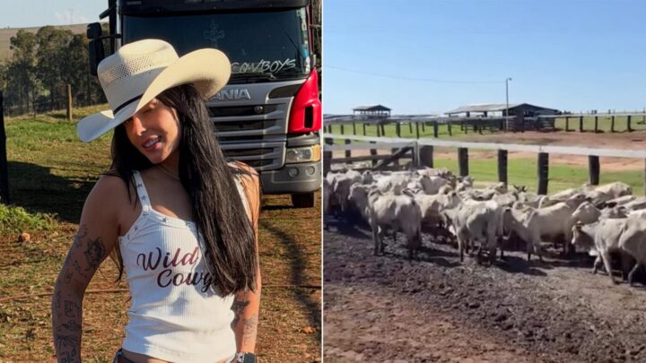 Aos 22 anos, Ana Castela investe em gado oriundo de outro país e escolhido pelo pai