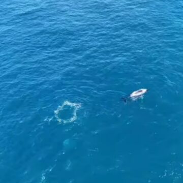 VÍDEO: Baleia-jubarte é avistada em praia de Mata de São João