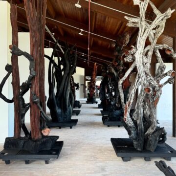 Museu do Recôncavo recebe exposição inédita com 46 obras de Frans Krajcberg