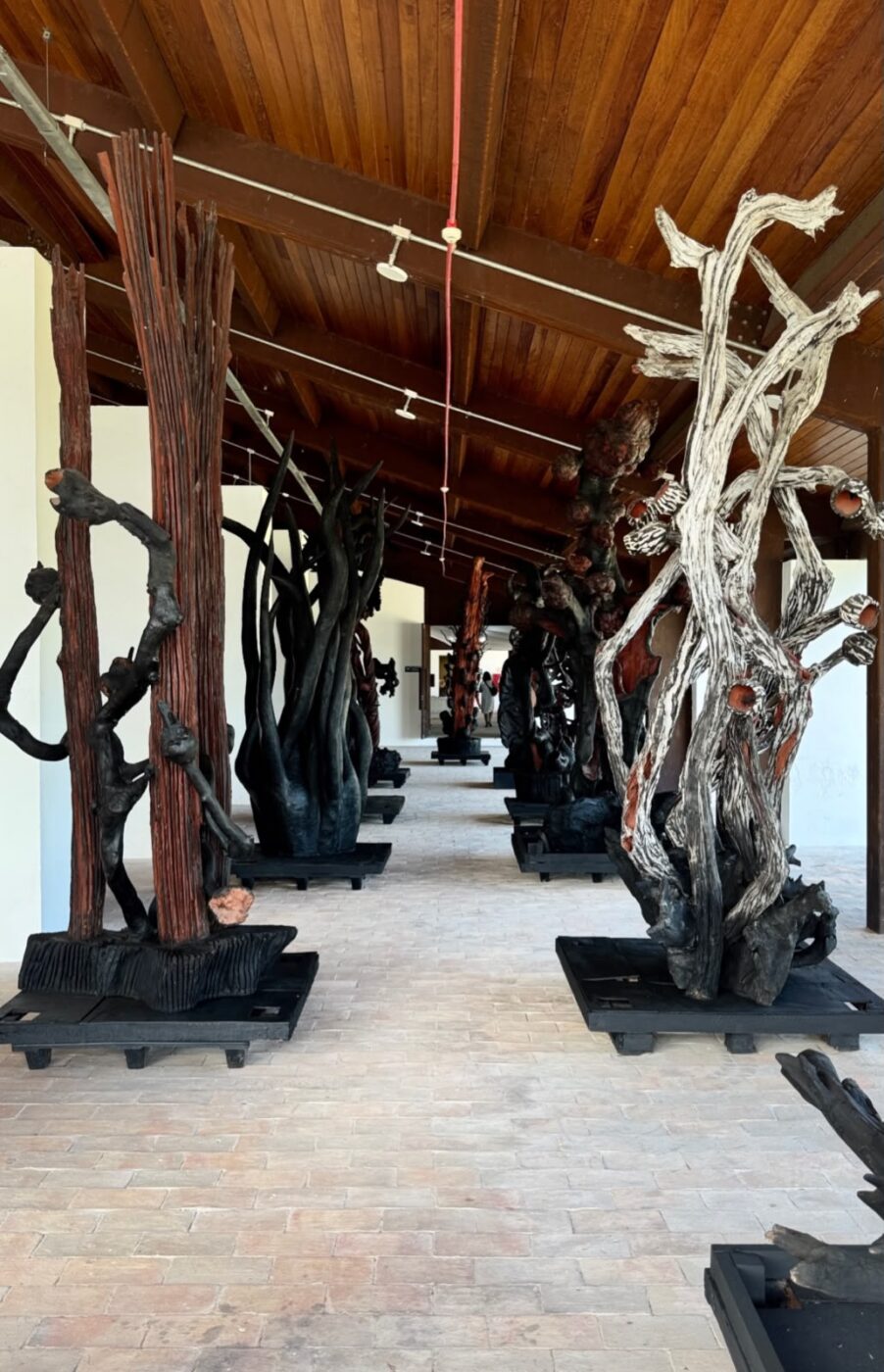 Museu do Recôncavo recebe exposição inédita com 46 obras de Frans Krajcberg