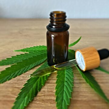 Prefeitura de Salvador sanciona lei para capacitar profissionais de saúde sobre uso da cannabis medicinal