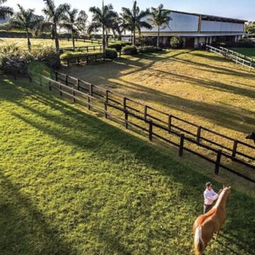 Cantor sertanejo construiu casa exclusiva para cavalo de raça em fazenda milionária; saiba detalhes