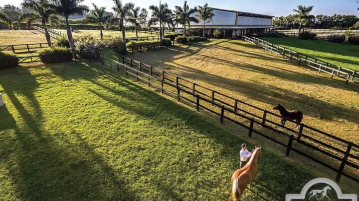 Cantor sertanejo construiu casa exclusiva para cavalo de raça em fazenda milionária; saiba detalhes