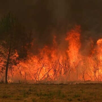 Incêndios florestais obrigam mais de 300 mil pessoas a deixar suas casas na Europa