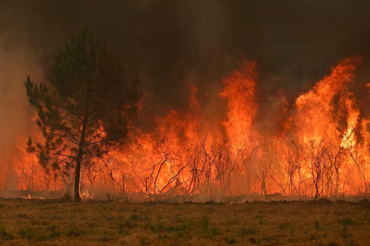 Incêndios florestais obrigam mais de 300 mil pessoas a deixar suas casas na Europa