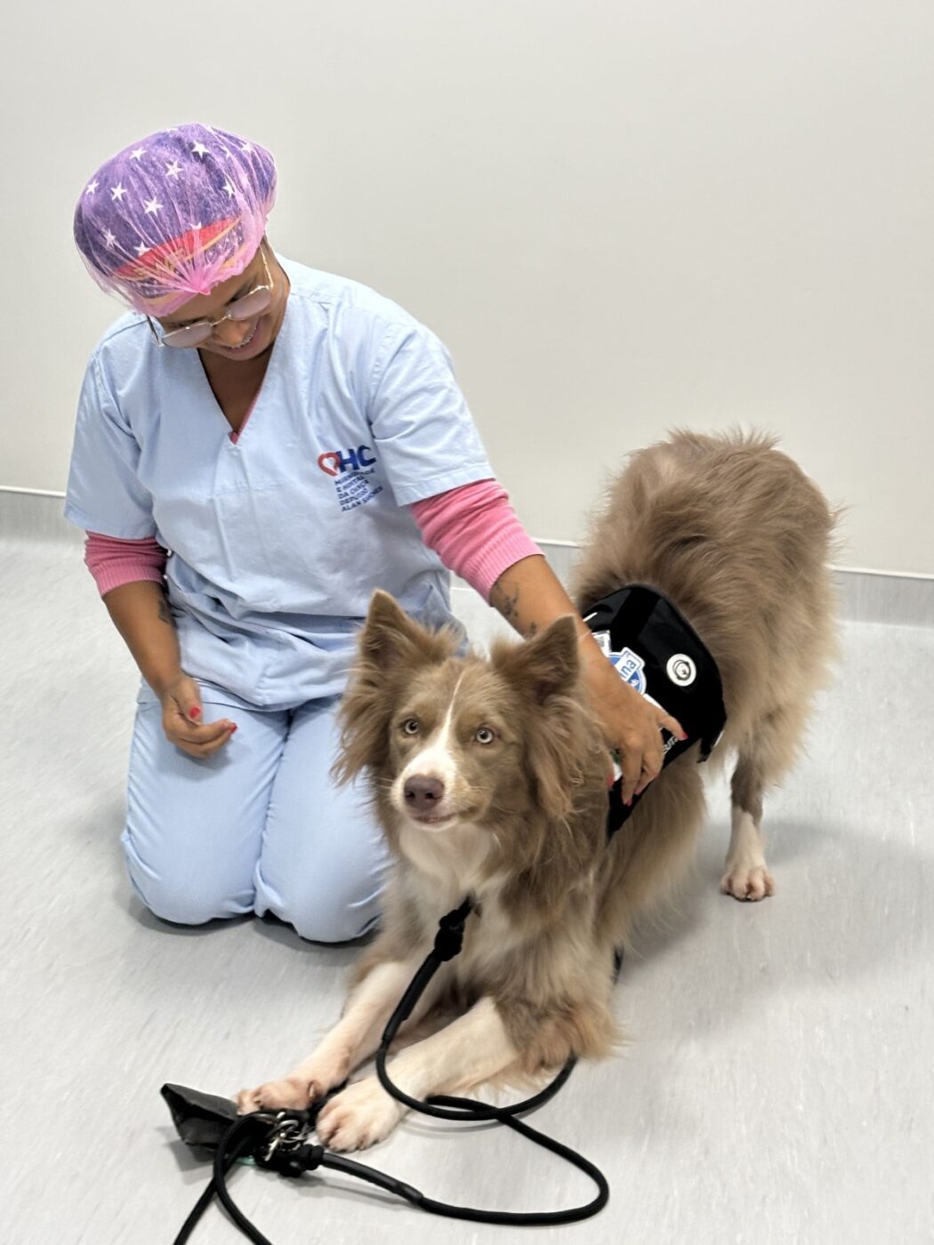 Cão terapeuta leva acolhimento e humanização à maternidade de Salvador
