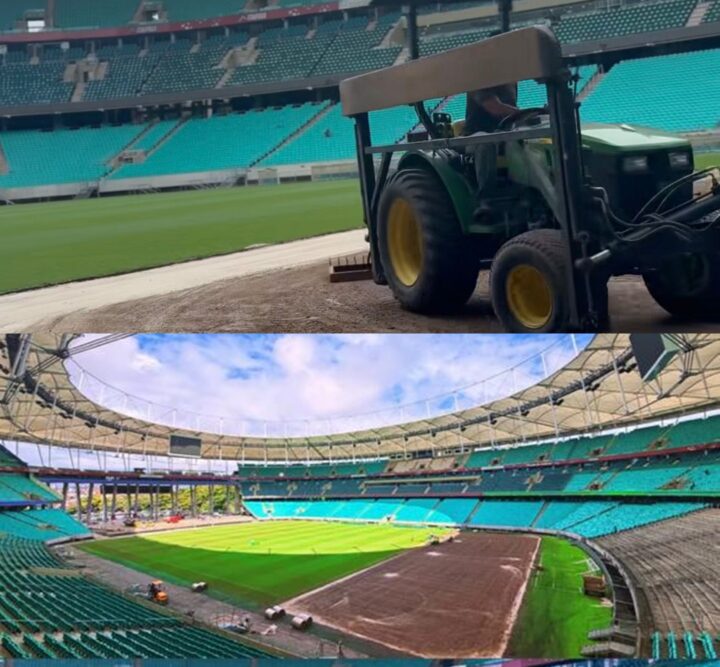 Arena Fonte Nova inicia segunda etapa da recuperação do gramado para retorno dos jogos