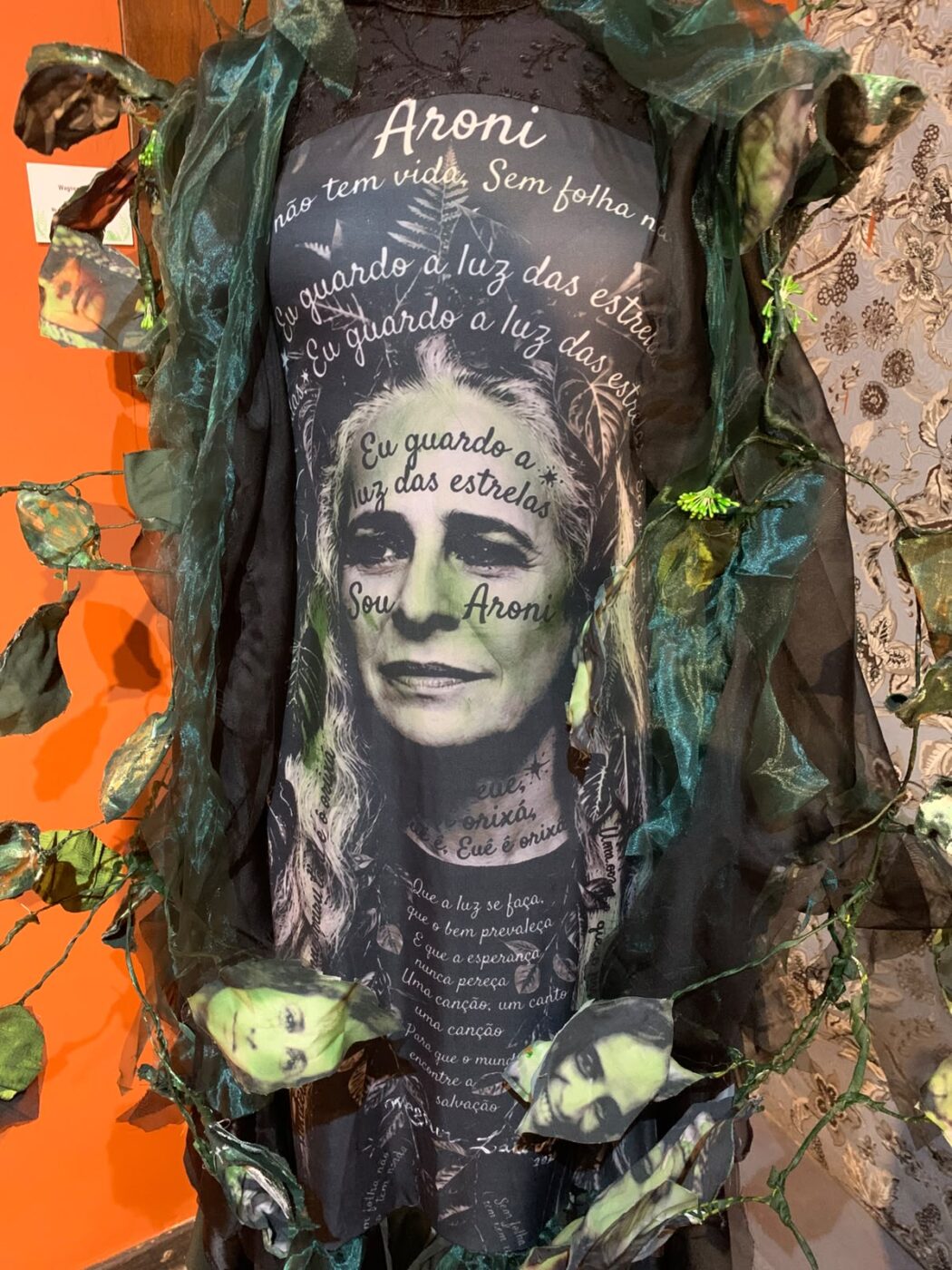Maria Bethânia ganha exposição em Salvador em homenagem aos seus 80 anos
